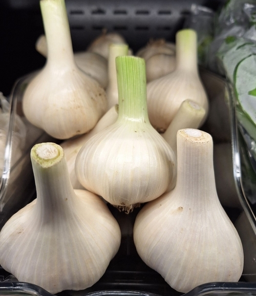 Garlic FRESH (LOCAL)